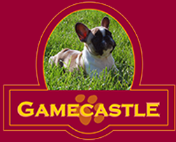 Allevamento Gamecastle bouledogue francesi bulldog